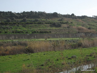 lle del Simeto-24-02-2013 09-22-30